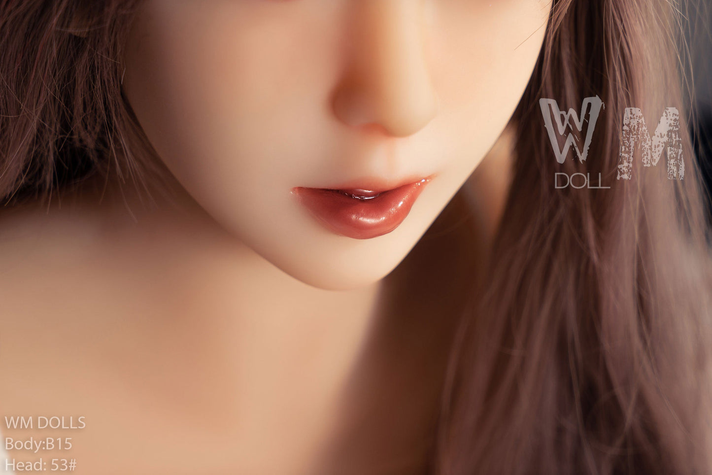 WM DOLLS - TORSO - B15 +#53 by Anmodolls