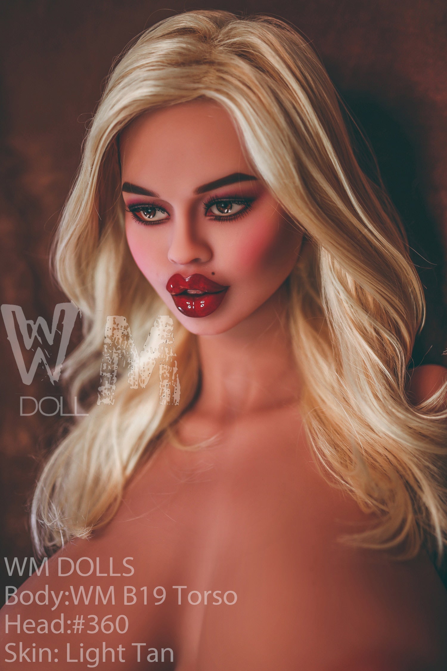 WM DOLLS - TORSO - B19 +#360 by Anmodolls